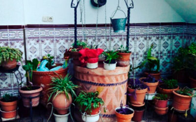 Francisco López Sánchez